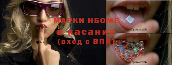 твердый Верхний Тагил