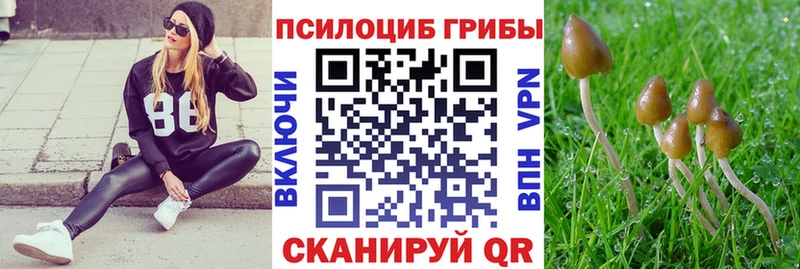 как найти закладки  Дедовск  Галлюциногенные грибы MAGIC MUSHROOMS 